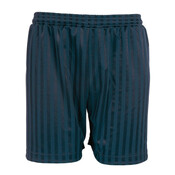 Navy Shadow Stripe P.E. Shorts